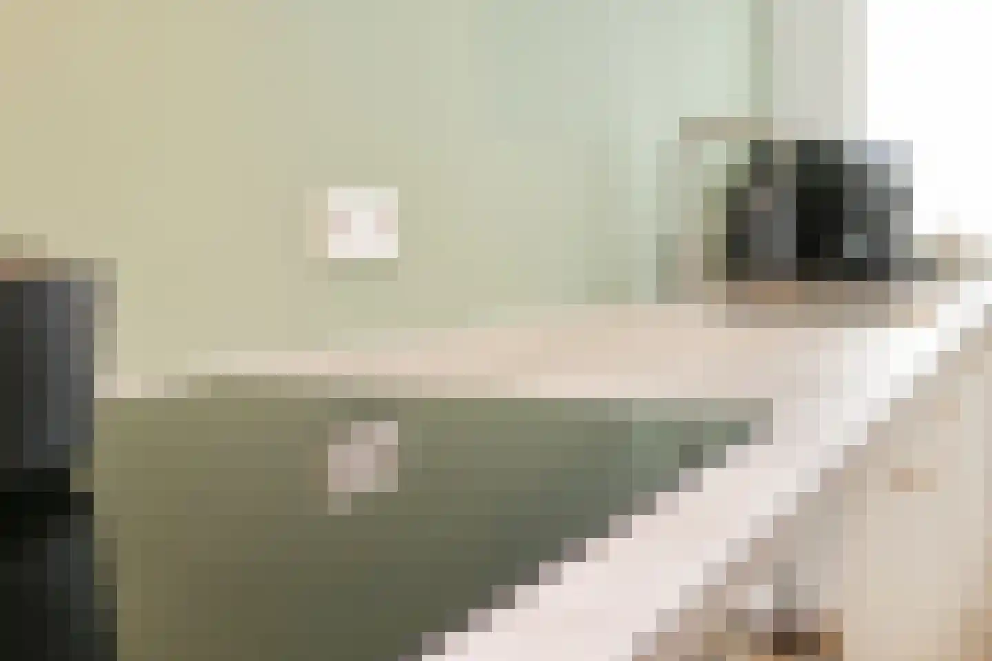 IJtochtkade 42 Zwanenburg thumbnail 30