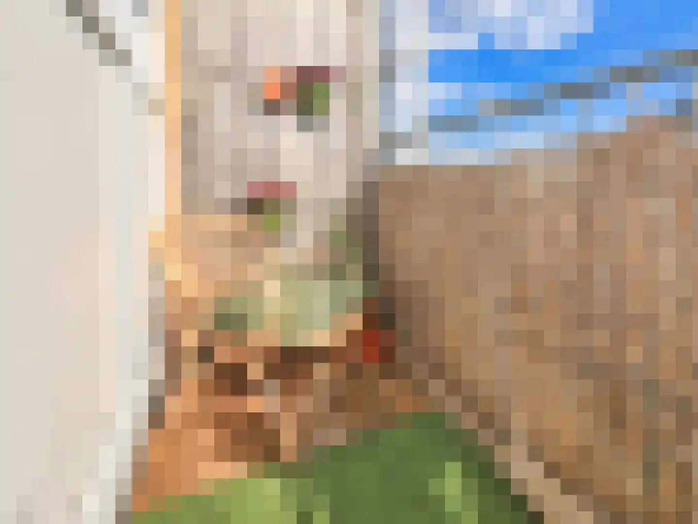 IJtochtkade 42 Zwanenburg thumbnail 8