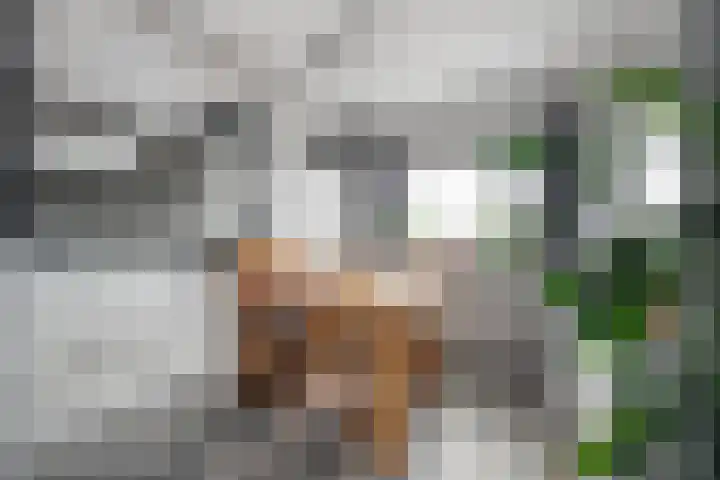 IJtochtkade 56 Zwanenburg thumbnail 10