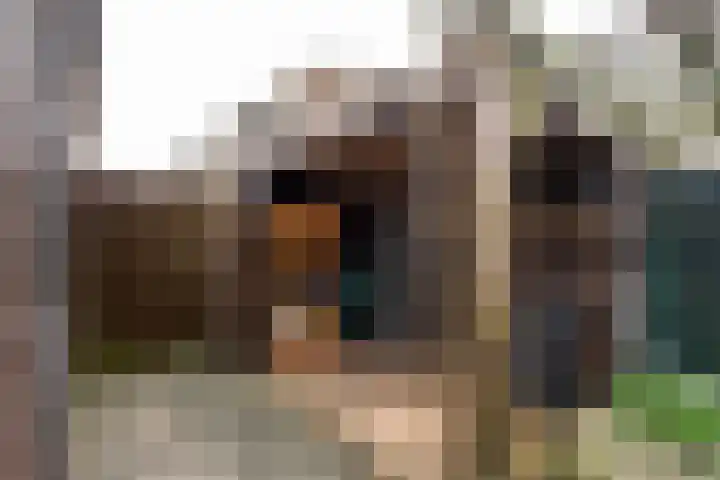 IJtochtkade 56 Zwanenburg thumbnail 17