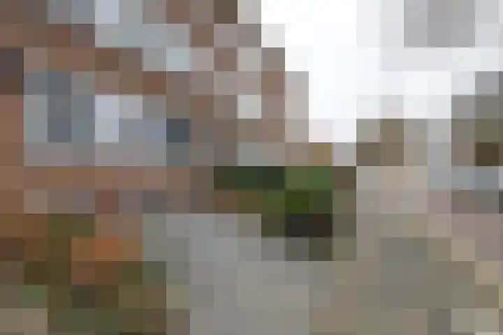 IJtochtkade 56 Zwanenburg thumbnail 21
