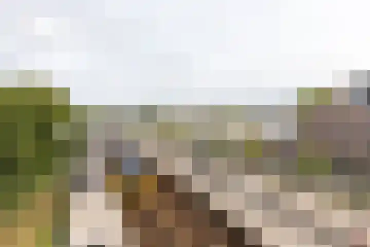 IJtochtkade 56 Zwanenburg thumbnail 23
