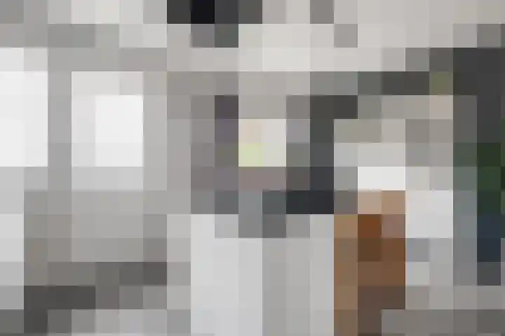 IJtochtkade 56 Zwanenburg thumbnail 4