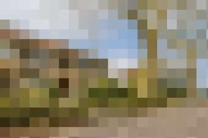 IJweg 1 B Zwanenburg thumbnail 35