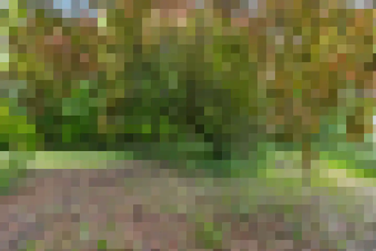 IJweg 1126 Hoofddorp thumbnail 24