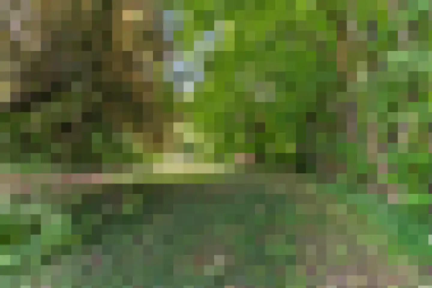IJweg 1126 Hoofddorp thumbnail 27