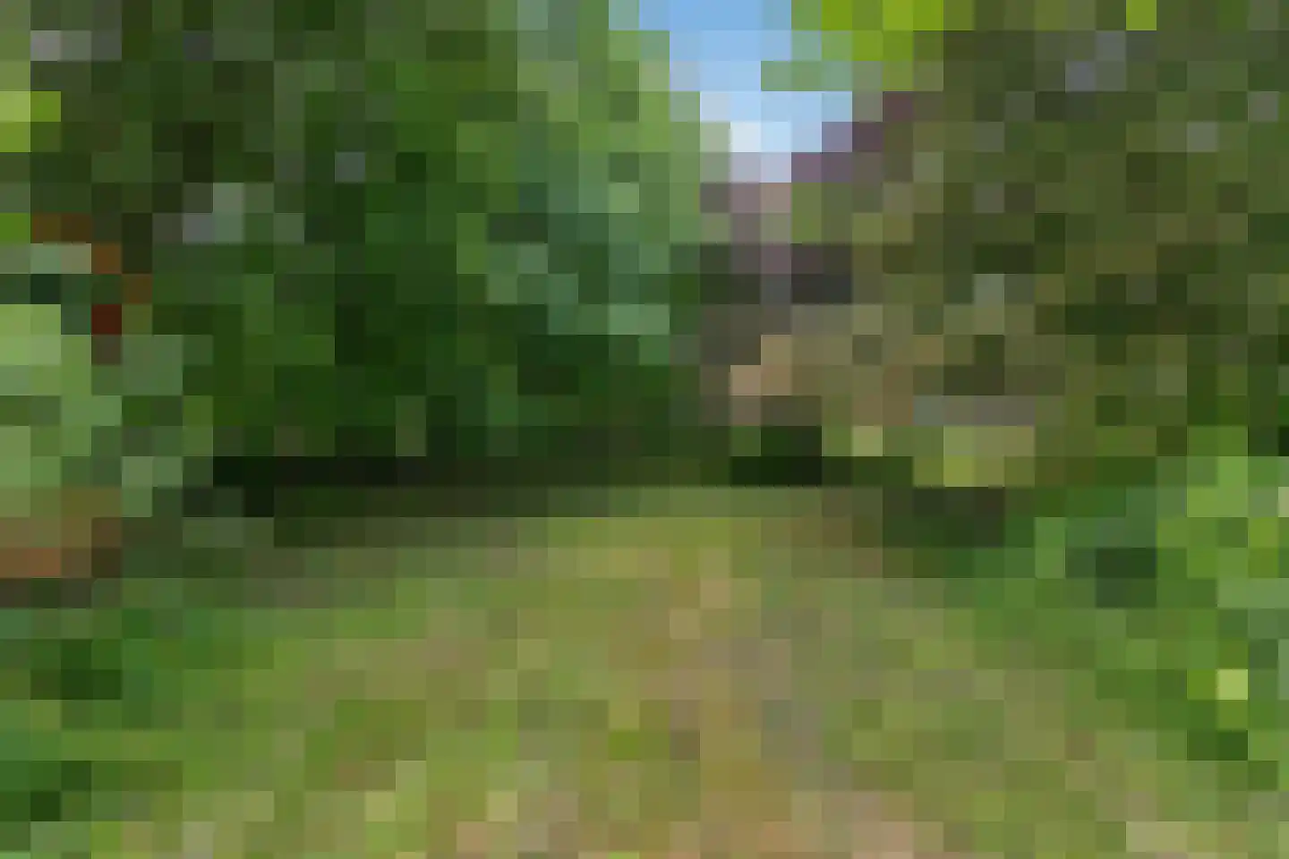 IJweg 1126 Hoofddorp thumbnail 29