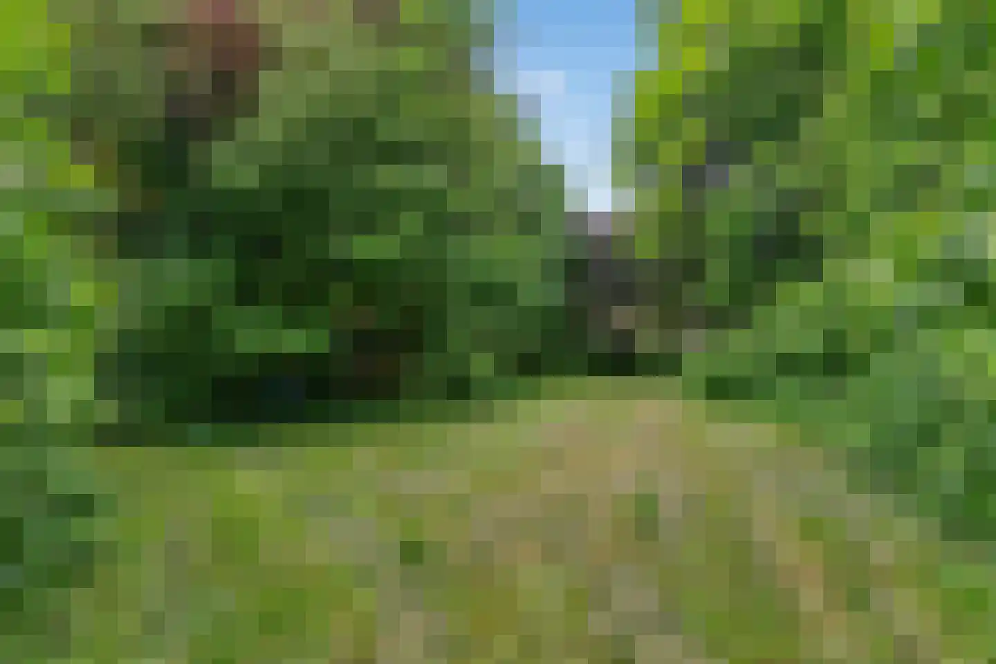 IJweg 1126 Hoofddorp thumbnail 30