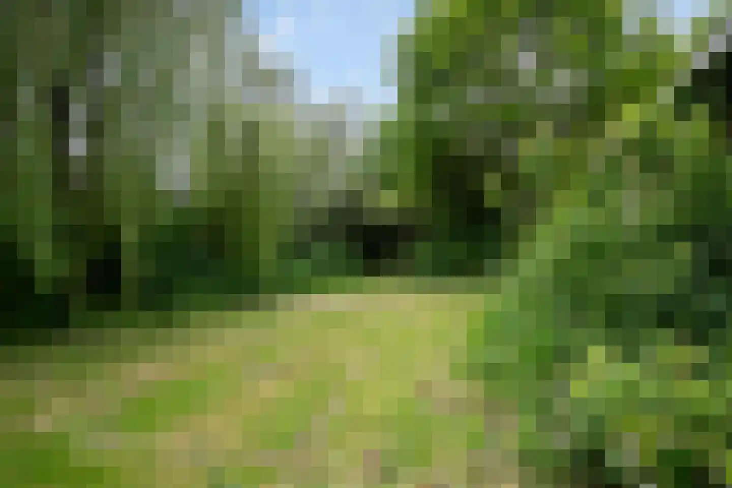 IJweg 1126 Hoofddorp thumbnail 32