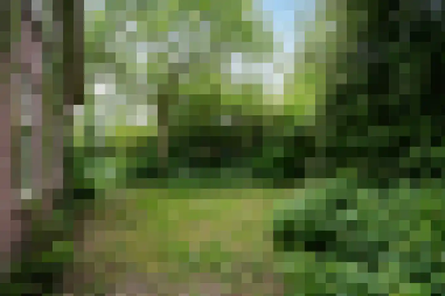 IJweg 1126 Hoofddorp thumbnail 36