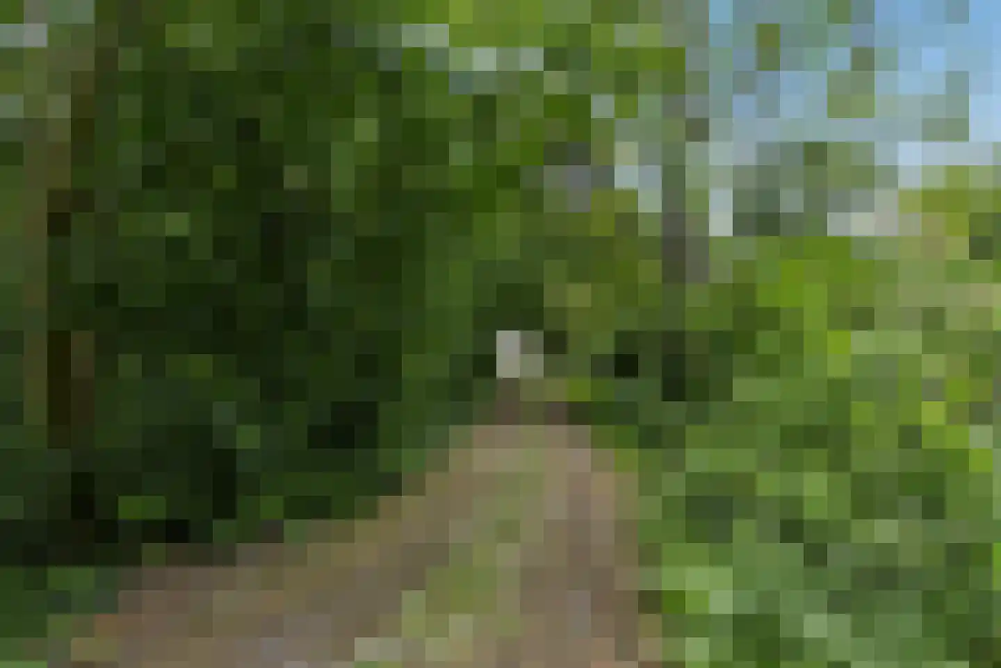 IJweg 1126 Hoofddorp thumbnail 38