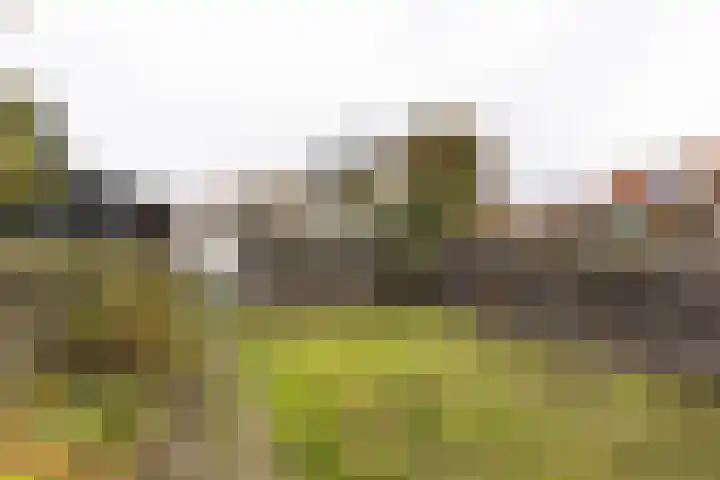 IJweg 115 Zwanenburg thumbnail 13