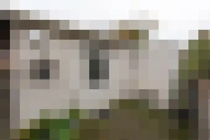 IJweg 115 Zwanenburg thumbnail 15