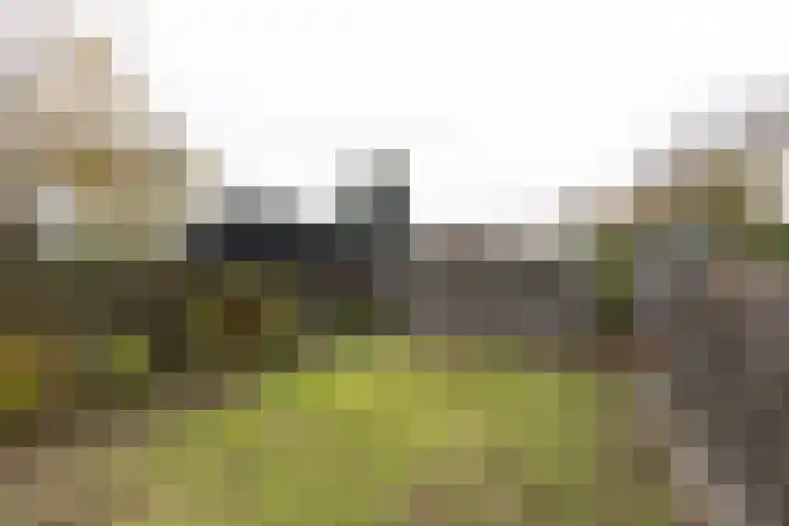 IJweg 115 Zwanenburg thumbnail 19