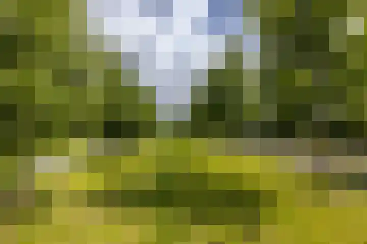 IJweg 115 Zwanenburg thumbnail 38