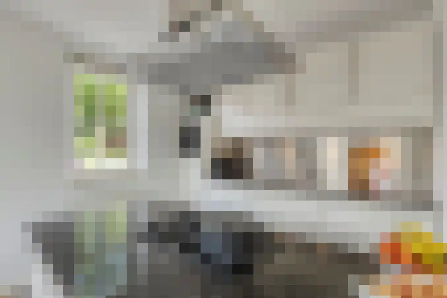 IJweg 1157 Hoofddorp thumbnail 16