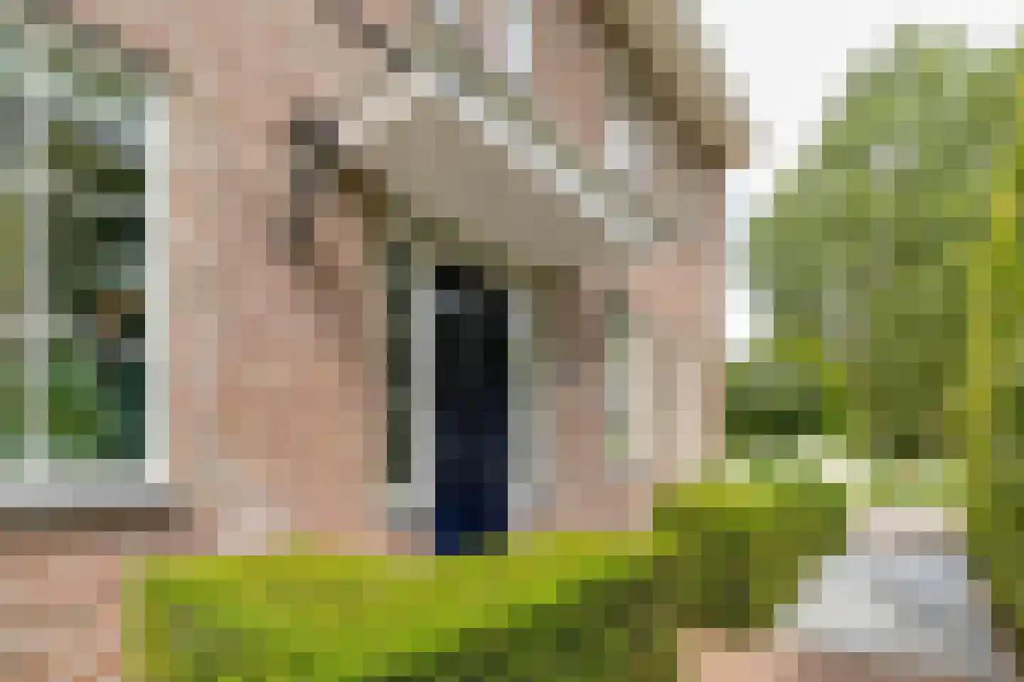 IJweg 1157 Hoofddorp thumbnail 6