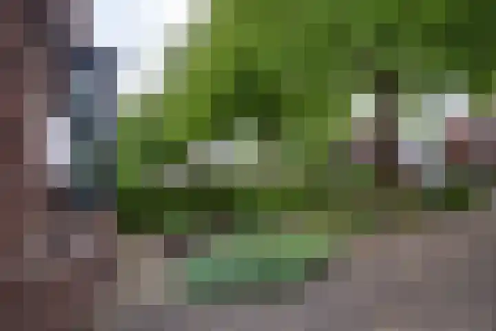 IJweg 119 Zwanenburg thumbnail 21