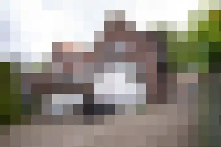 IJweg 119 Zwanenburg thumbnail 22