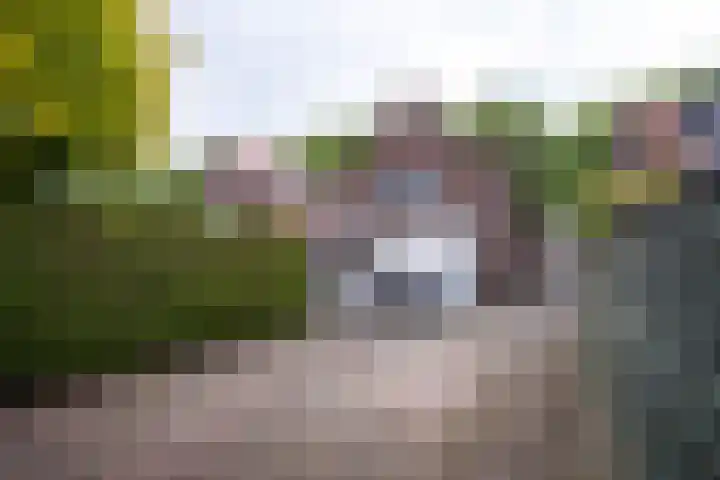 IJweg 119 Zwanenburg thumbnail 23