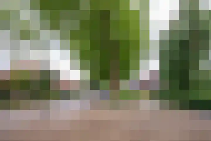 IJweg 119 Zwanenburg thumbnail 28