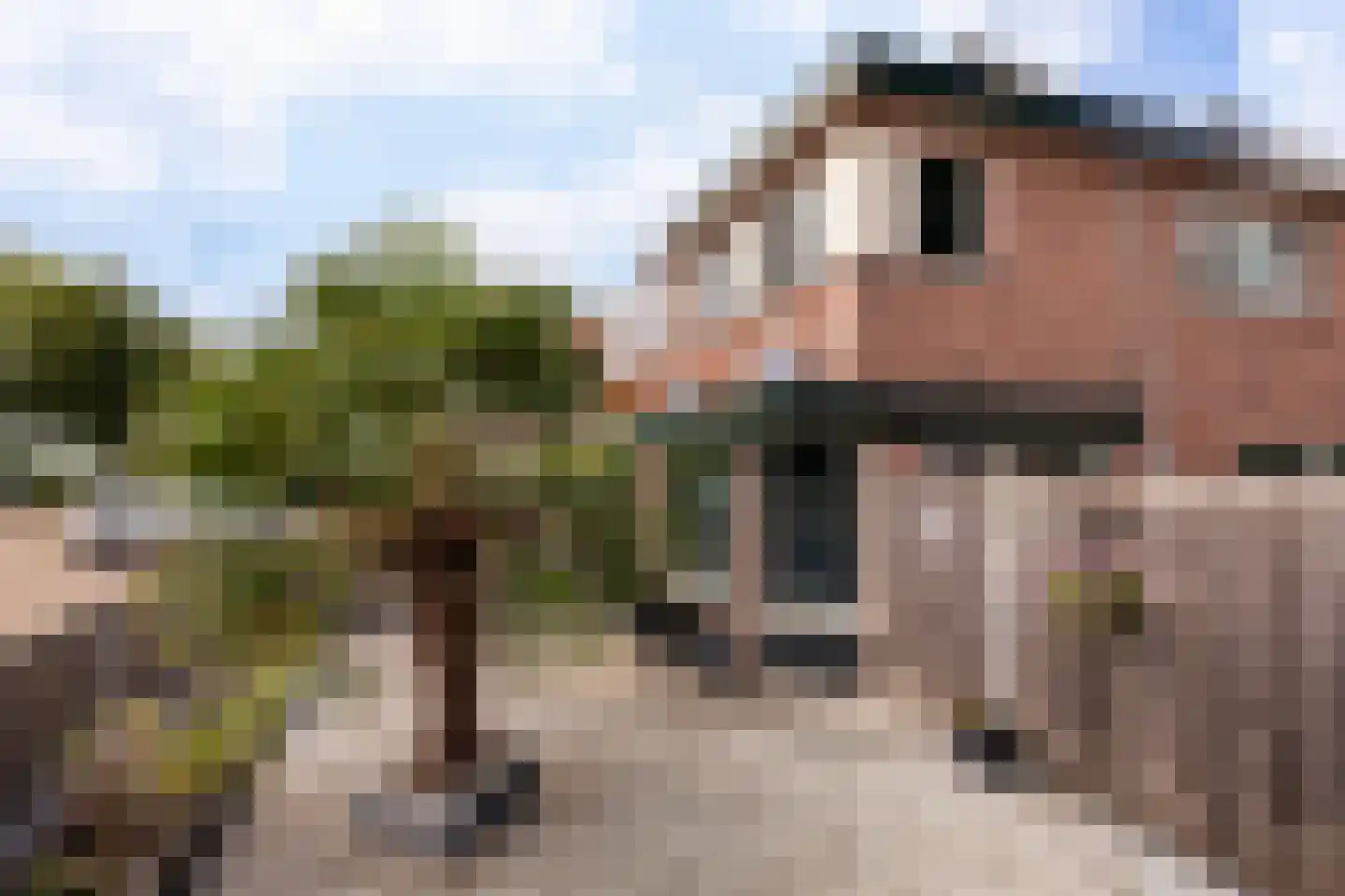 IJweg 143 Zwanenburg thumbnail 30