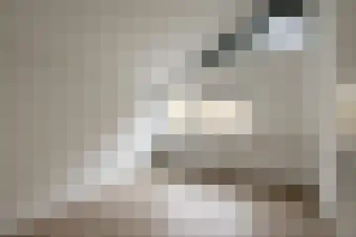 IJweg 16 Zwanenburg thumbnail 24