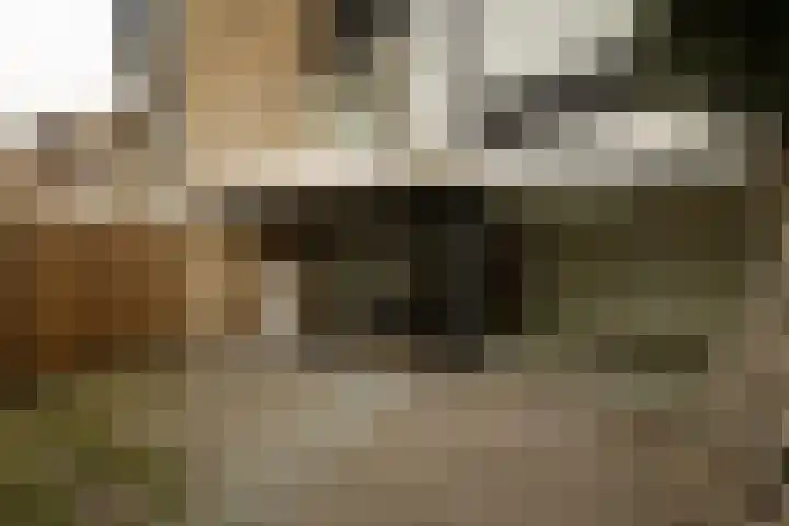 IJweg 16 Zwanenburg thumbnail 37