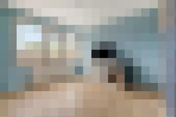 IJweg 411 Zwanenburg thumbnail 13