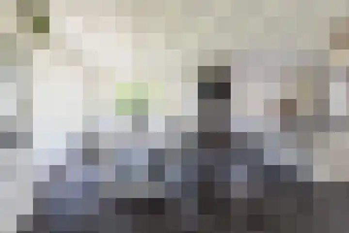IJweg 557 Boesingheliede thumbnail 19