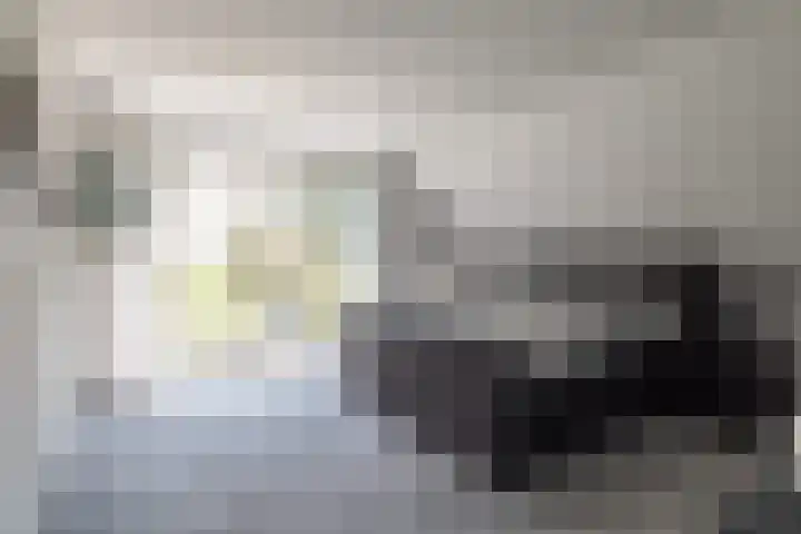 IJweg 557 Boesingheliede thumbnail 37