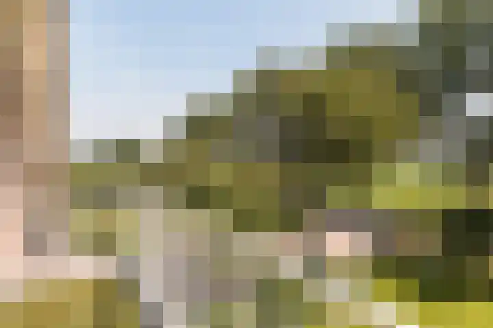 IJweg 557 Boesingheliede thumbnail 38