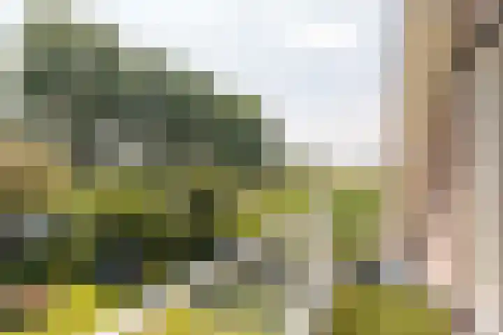 IJweg 557 Boesingheliede thumbnail 39