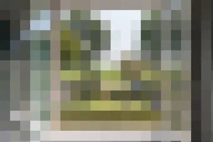 IJweg 557 Boesingheliede thumbnail 4