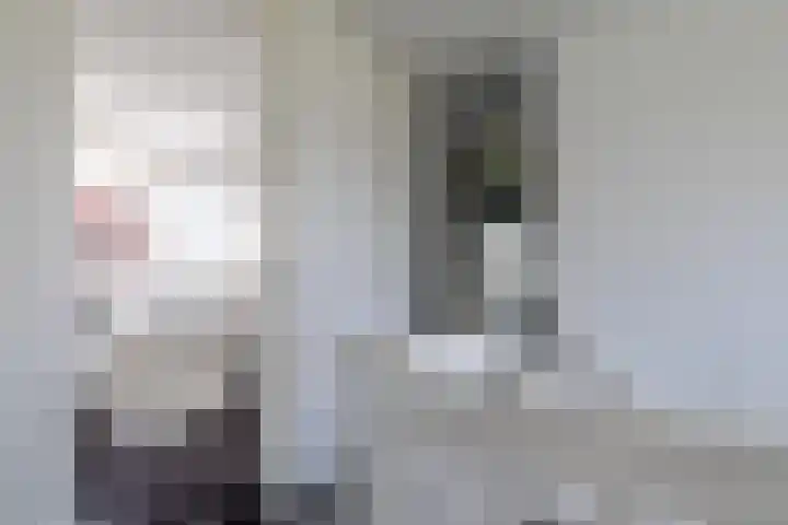 IJweg 557 Boesingheliede thumbnail 42