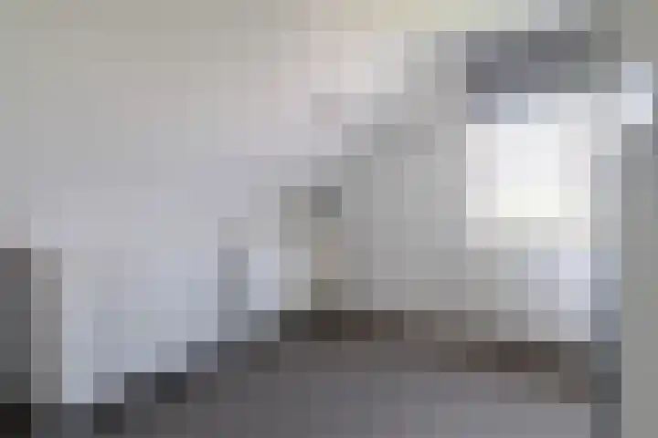 IJweg 557 Boesingheliede thumbnail 43