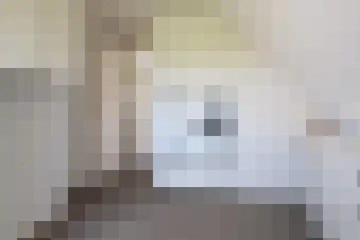 IJweg 557 Boesingheliede thumbnail 44