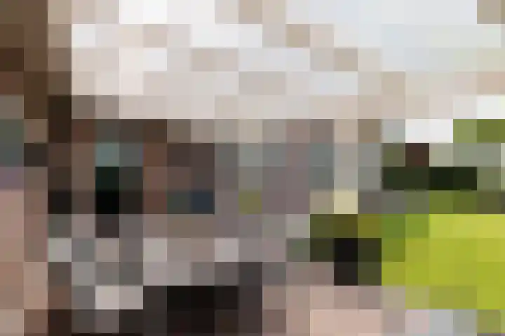 IJweg 557 Boesingheliede thumbnail 47