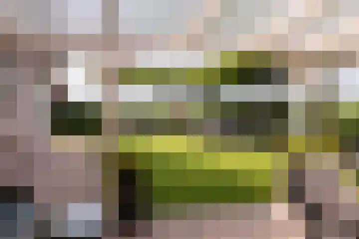 IJweg 557 Boesingheliede thumbnail 5