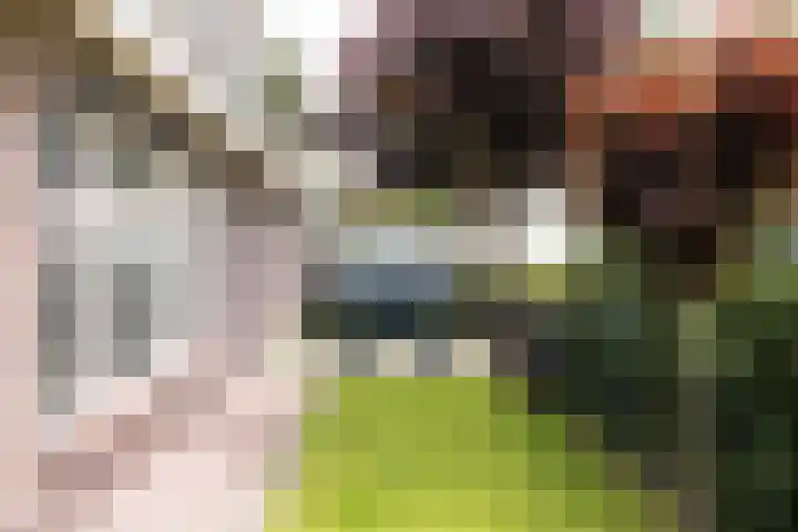 IJweg 557 Boesingheliede thumbnail 50