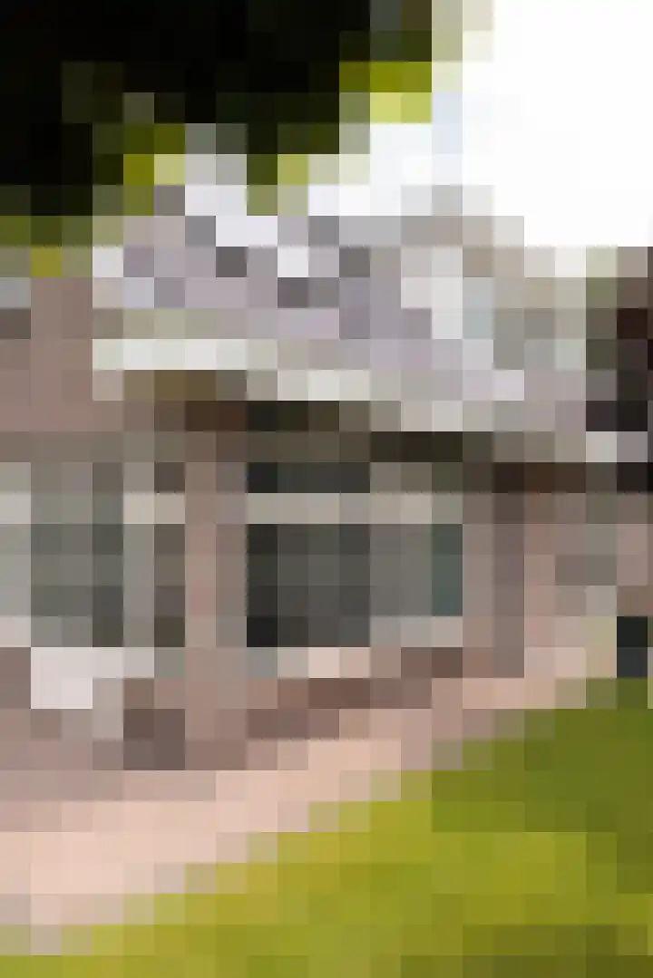 IJweg 557 Boesingheliede thumbnail 51