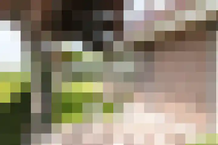 IJweg 557 Boesingheliede thumbnail 52