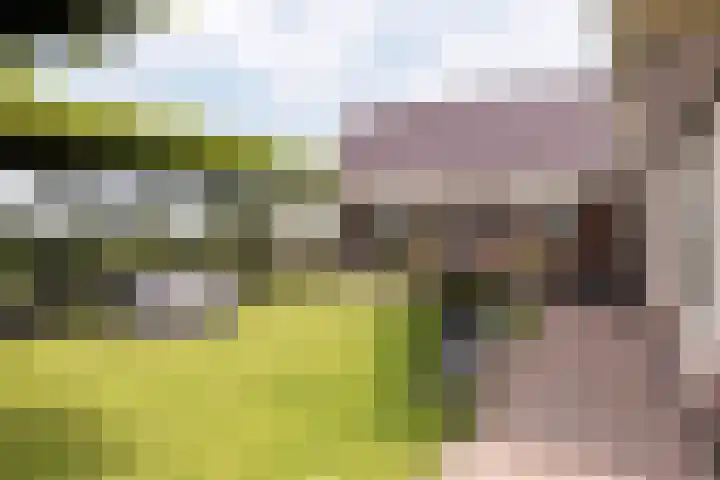 IJweg 557 Boesingheliede thumbnail 53