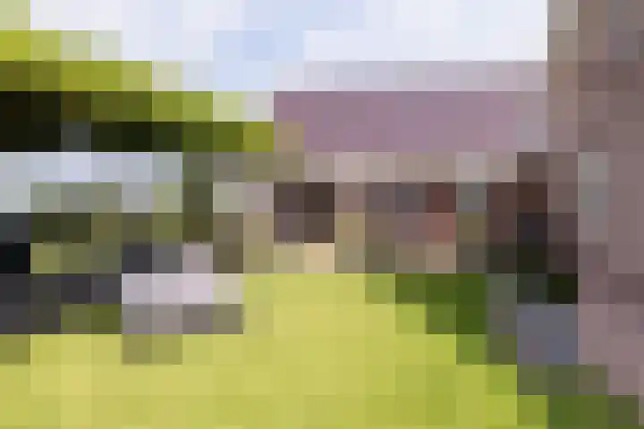 IJweg 557 Boesingheliede thumbnail 54