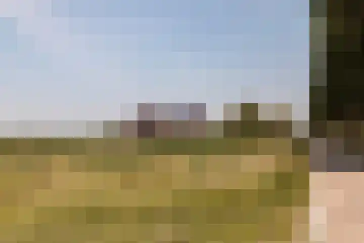 IJweg 557 Boesingheliede thumbnail 55