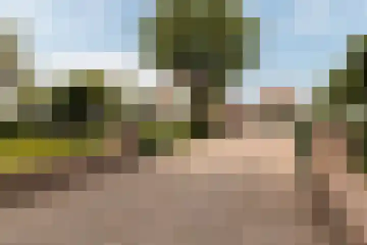 IJweg 557 Boesingheliede thumbnail 6