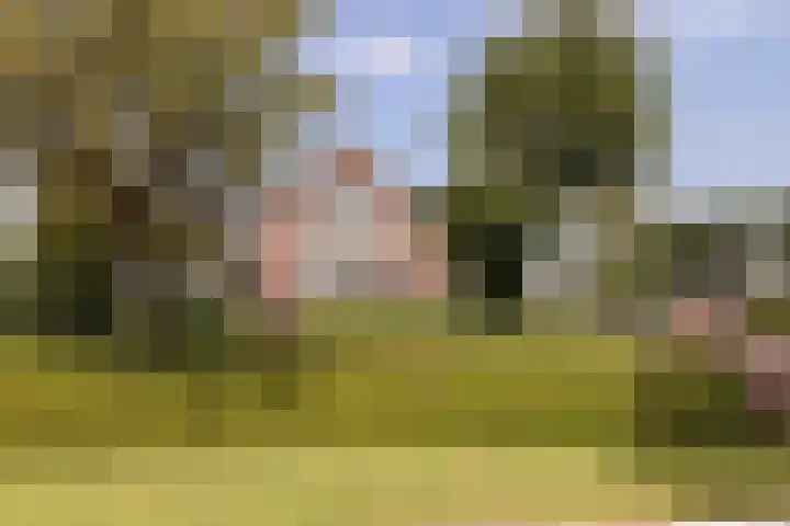 IJweg 557 Boesingheliede thumbnail 61