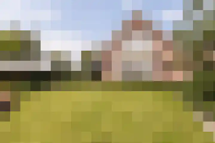 IJweg 557 Boesingheliede thumbnail 62