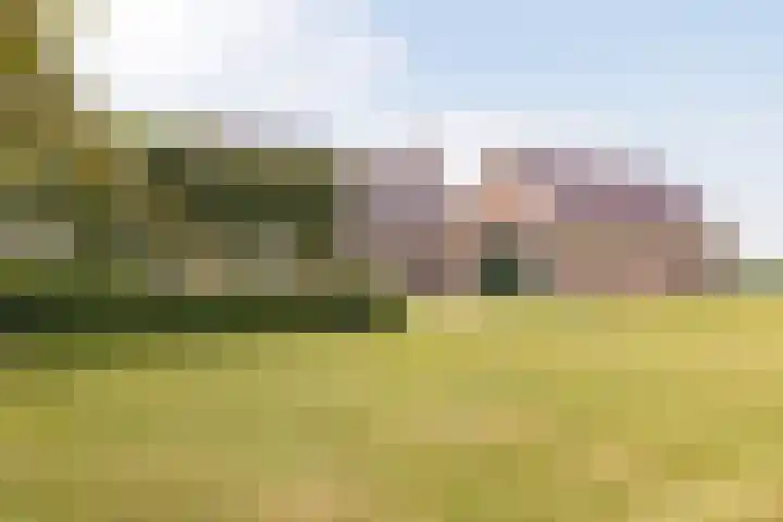IJweg 557 Boesingheliede thumbnail 63