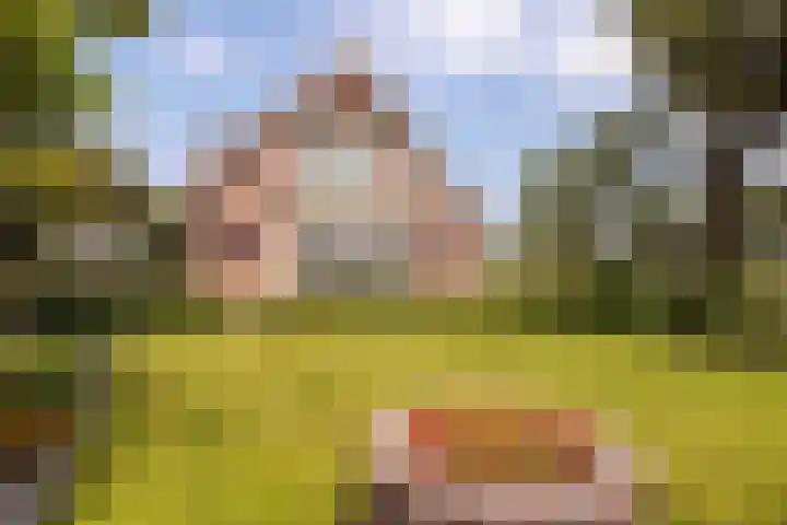 IJweg 557 Boesingheliede thumbnail 7